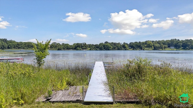2340 Lakeview Dr, Brooklyn, MI 49230 - water view featuring a boat dock and a forest