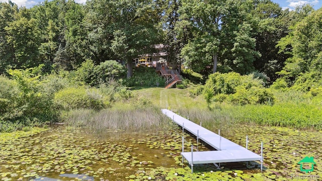 2340 Lakeview Dr, Brooklyn, MI 49230 - view of dock