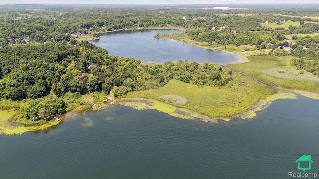 2340 Lakeview Dr, Brooklyn, MI 49230 - aerial view of property and surrounding area featuring a forest and a nearby body of water