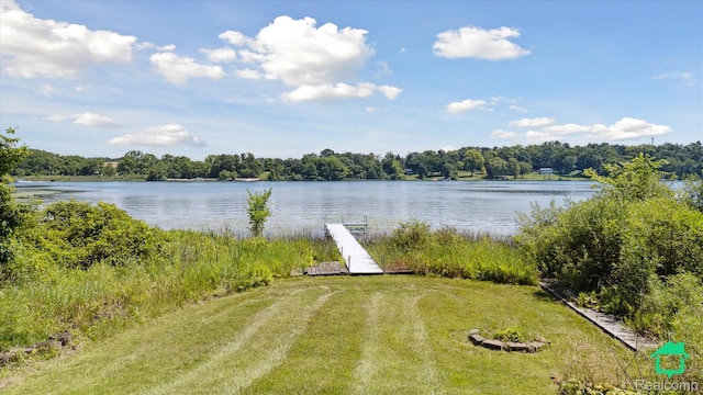 2340 Lakeview Dr, Brooklyn, MI 49230 - water view with a boat dock