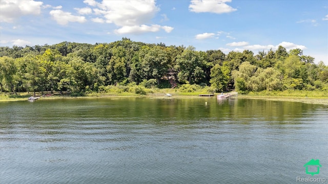 2340 Lakeview Dr, Brooklyn, MI 49230 - water view featuring a heavily wooded area
