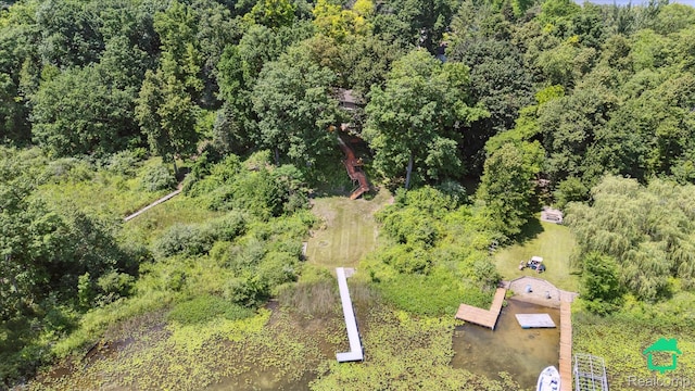 2340 Lakeview Dr, Brooklyn, MI 49230 - drone / aerial view of a heavily wooded area
