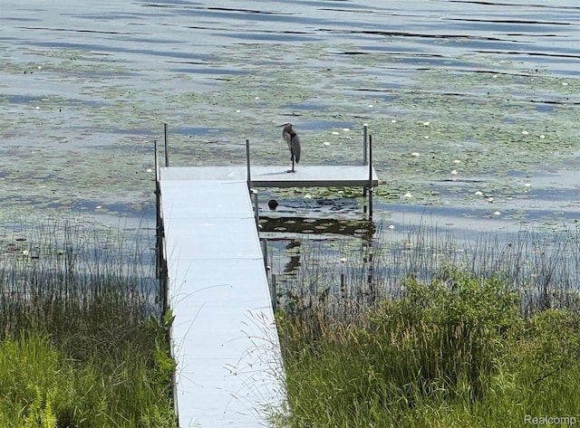 2340 Lakeview Dr, Brooklyn, MI 49230 - view of dock area