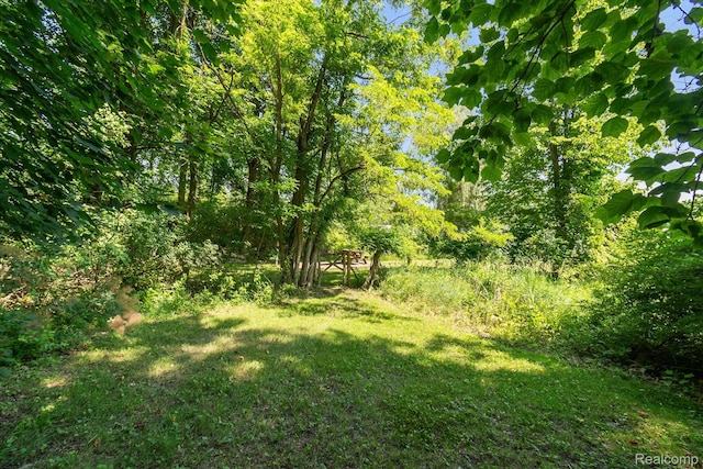 2340 Lakeview Dr, Brooklyn, MI 49230 - photo 47