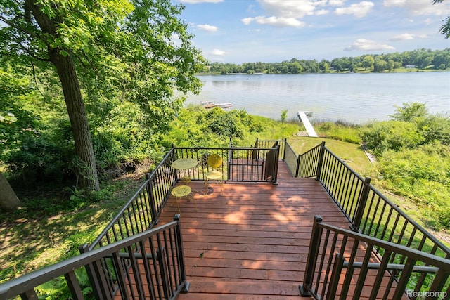 2340 Lakeview Dr, Brooklyn, MI 49230 - photo 42