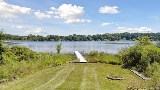 2340 Lakeview Dr, Brooklyn, MI 49230 - photo 58