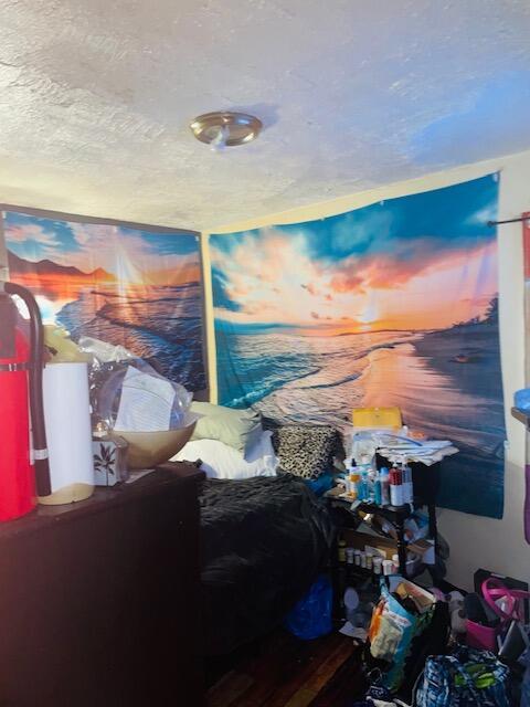 2955 Ewald Cir, Detroit, MI 48238 - miscellaneous room with a textured ceiling and wood finished floors