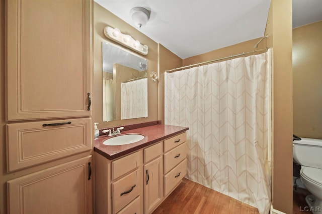 216 Budlong St, Adrian, MI 49221 - bathroom with vanity, wood finished floors, and a shower with shower curtain