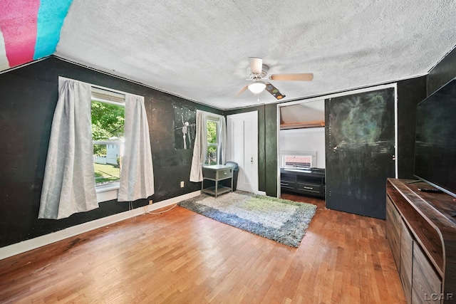 216 Budlong St, Adrian, MI 49221 - entryway featuring wood finished floors, ceiling fan, and a textured ceiling