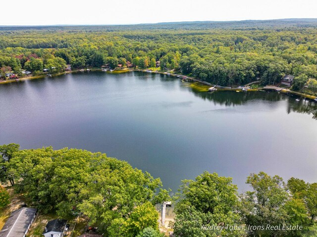 5190 N Bass Lake Rd, Irons, MI 49644 - aerial view of a forest and a nearby body of water