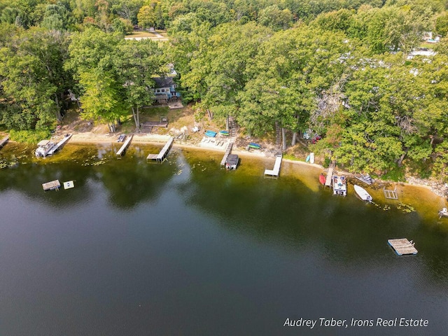5190 N Bass Lake Rd, Irons, MI 49644 - bird's eye view of a nearby body of water