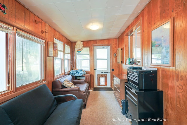 5190 N Bass Lake Rd, Irons, MI 49644 - living area featuring wooden walls and light colored carpet