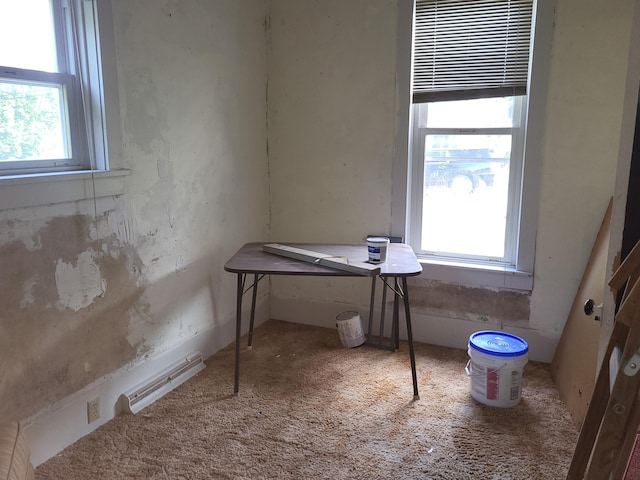 233 2nd Ave, Manistee, MI 49660 - home office featuring healthy amount of natural light and carpet floors