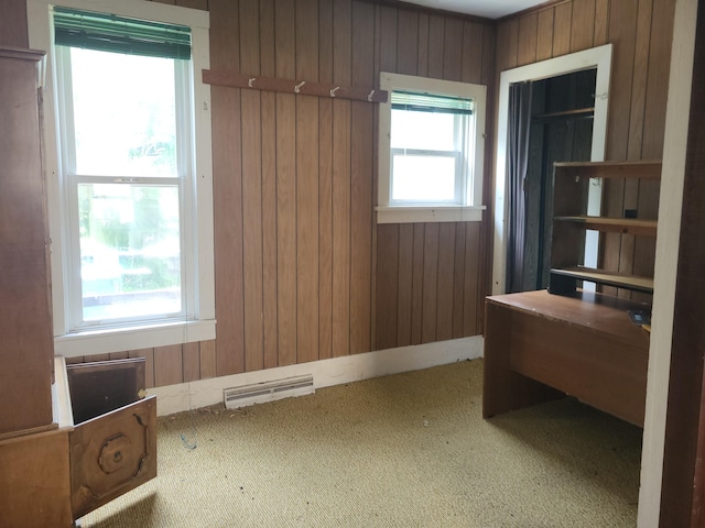 233 2nd Ave, Manistee, MI 49660 - unfurnished office with carpet floors and wooden walls