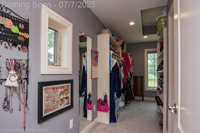 15946 Tubspring Rd, Allenton, MI 48002 - spacious closet featuring carpet