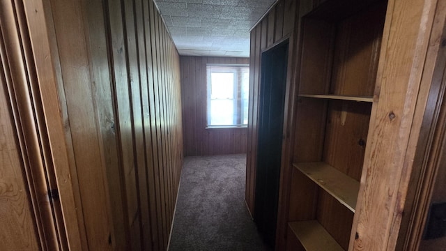 19969 Poinciana, Redford, MI 48240 - hall featuring wooden walls and carpet flooring
