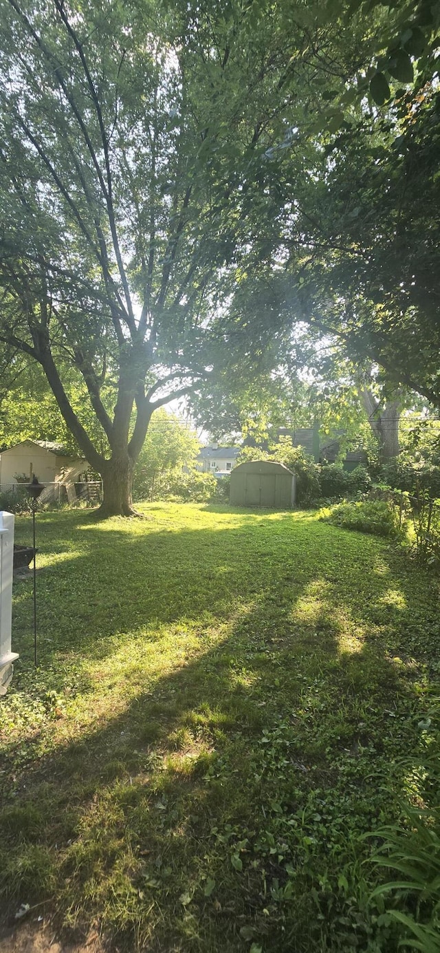 19969 Poinciana, Redford, MI 48240 - view of green lawn featuring a storage unit