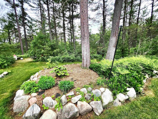 241 Dale St, Grayling, MI 49738 - view of green lawn