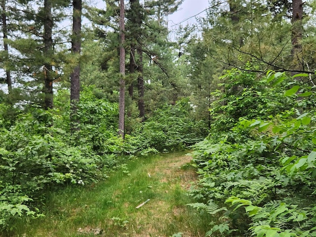 241 Dale St, Grayling, MI 49738 - view of tree filled area