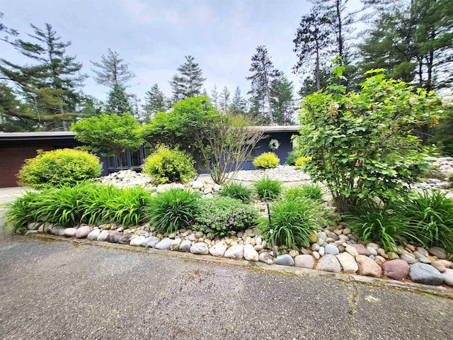 241 Dale St, Grayling, MI 49738 - view of yard