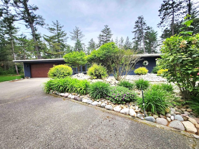 241 Dale St, Grayling, MI 49738 - view of front of home featuring a garage and asphalt driveway