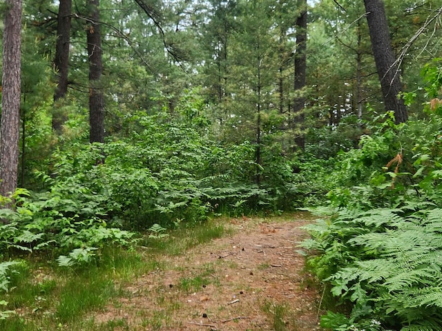 241 Dale St, Grayling, MI 49738 - view of wooded area