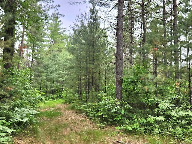 241 Dale St, Grayling, MI 49738 - view of tree filled area