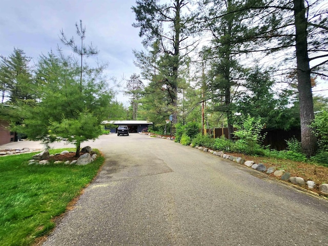 241 Dale St, Grayling, MI 49738 - view of property hidden behind natural elements featuring asphalt driveway and a carport