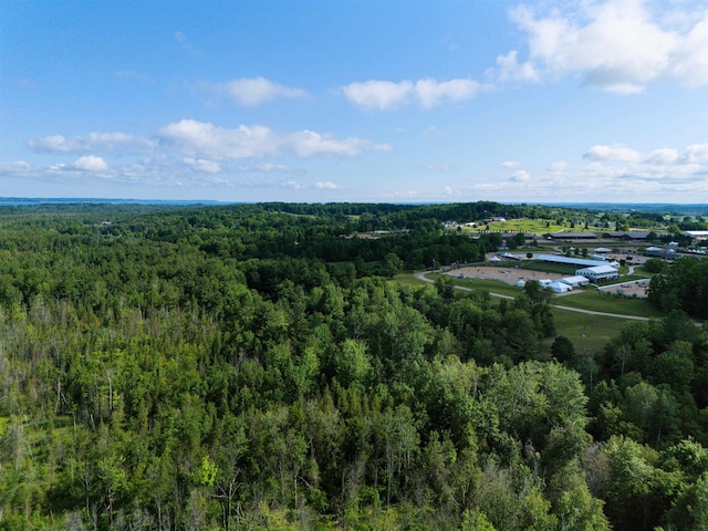 VL000 Brackett Rd, Acme, MI 49690