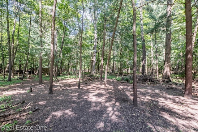 4079 Cumberland Ct, Commerce Twp, MI 48390 - view of woods