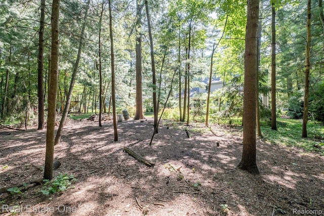4079 Cumberland Ct, Commerce Twp, MI 48390 - view of undeveloped land