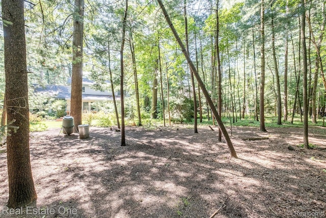 4079 Cumberland Ct, Commerce Twp, MI 48390 - view of yard