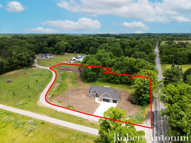 6691 Egan Ave SE, Caledonia, MI 49316 - aerial view of property and surrounding area with property boundaries highlighted