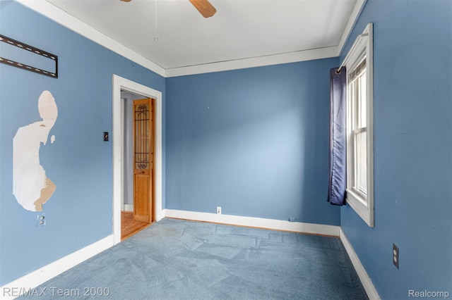 28041 Essex St, Roseville, MI 48066 - photo 15