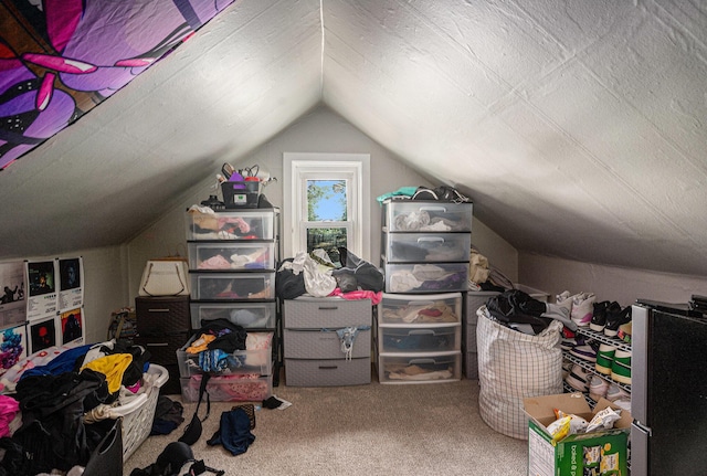 2559 Miner Ave, Muskegon, MI 49441 - bonus room featuring carpet and vaulted ceiling