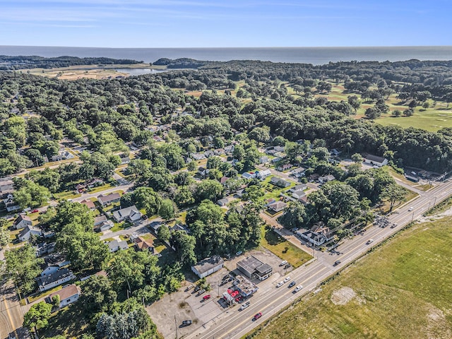 2559 Miner Ave, Muskegon, MI 49441 - aerial perspective of suburban area with a large body of water and a tree filled landscape
