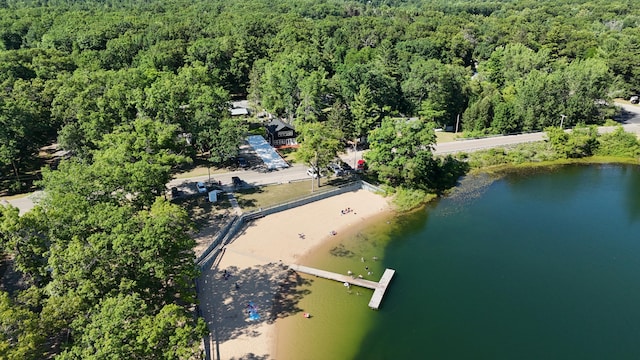 17016 6th St, Wellston, MI 49689 - bird's eye view of a heavily wooded area