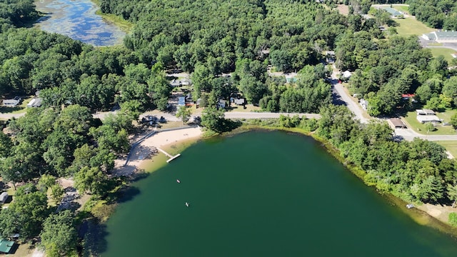 17016 6th St, Wellston, MI 49689 - aerial view of property's location featuring a nearby body of water