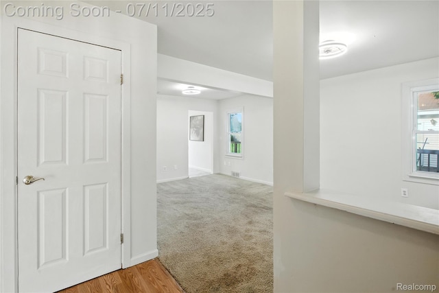 420 Wellsboro St, Walled Lake, MI 48390 - hall with baseboards and carpet