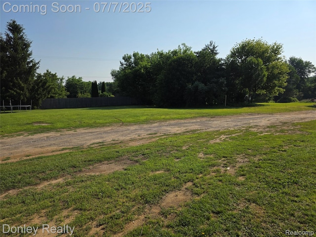 4605 Pleasant St, Clifford, MI 48727 - view of yard