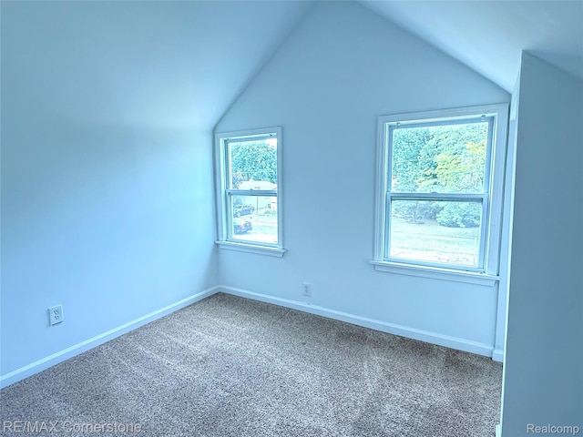 35209 Sheridan Ave, Westland, MI 48185 - bonus room featuring carpet flooring and lofted ceiling