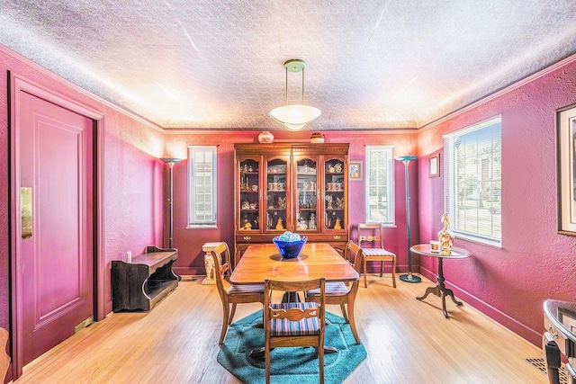 927 Kensington Ave, Flint, MI 48503 - dining area with a textured wall, light wood-type flooring, and a textured ceiling