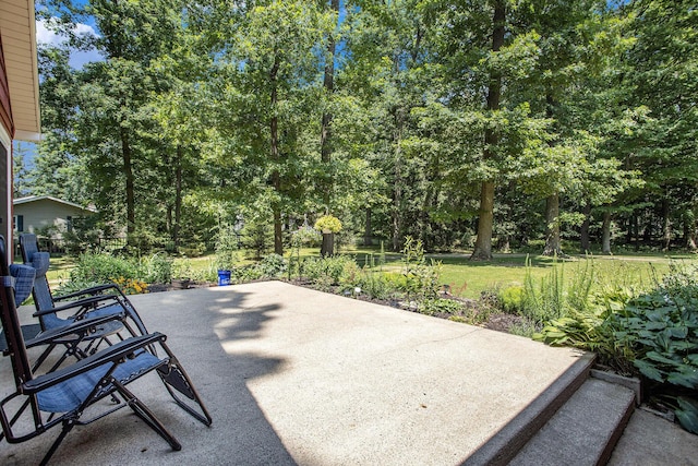 14814 Stone Jug Rd, Battle Creek, MI 49015 - view of patio / terrace with view of wooded area