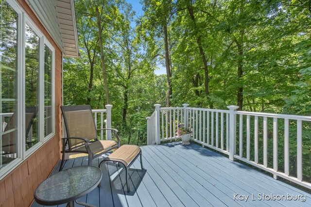 10714 Stoneridge Dr, Shelbyville, MI 49344 - photo 37