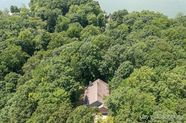 10714 Stoneridge Dr, Shelbyville, MI 49344 - photo 47