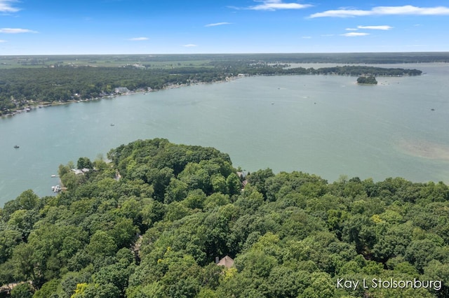 10714 Stoneridge Dr, Shelbyville, MI 49344 - photo 48
