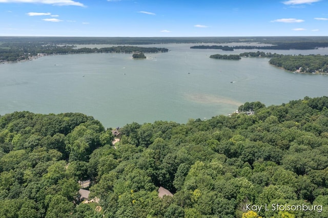 10714 Stoneridge Dr, Shelbyville, MI 49344 - photo 49