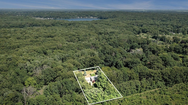 8257 S 2nd St, Michigan, MI 49071 - aerial view of property and surrounding area with a large body of water and property boundaries highlighted
