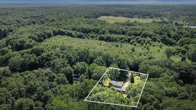 8257 S 2nd St, Michigan, MI 49071 - aerial view of property and surrounding area featuring a forest and property parcel outlined