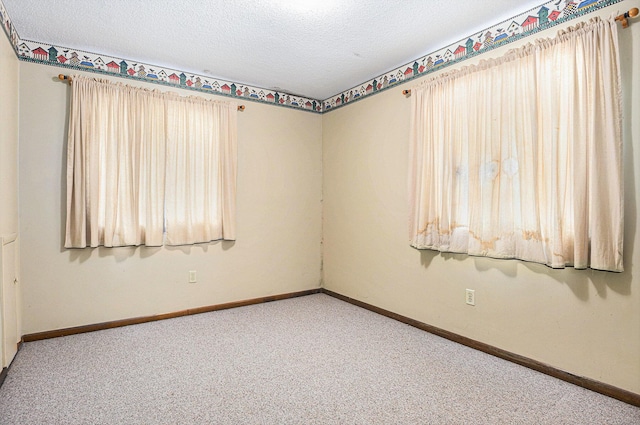 8257 S 2nd St, Michigan, MI 49071 - unfurnished room with carpet floors, a textured ceiling, and plenty of natural light